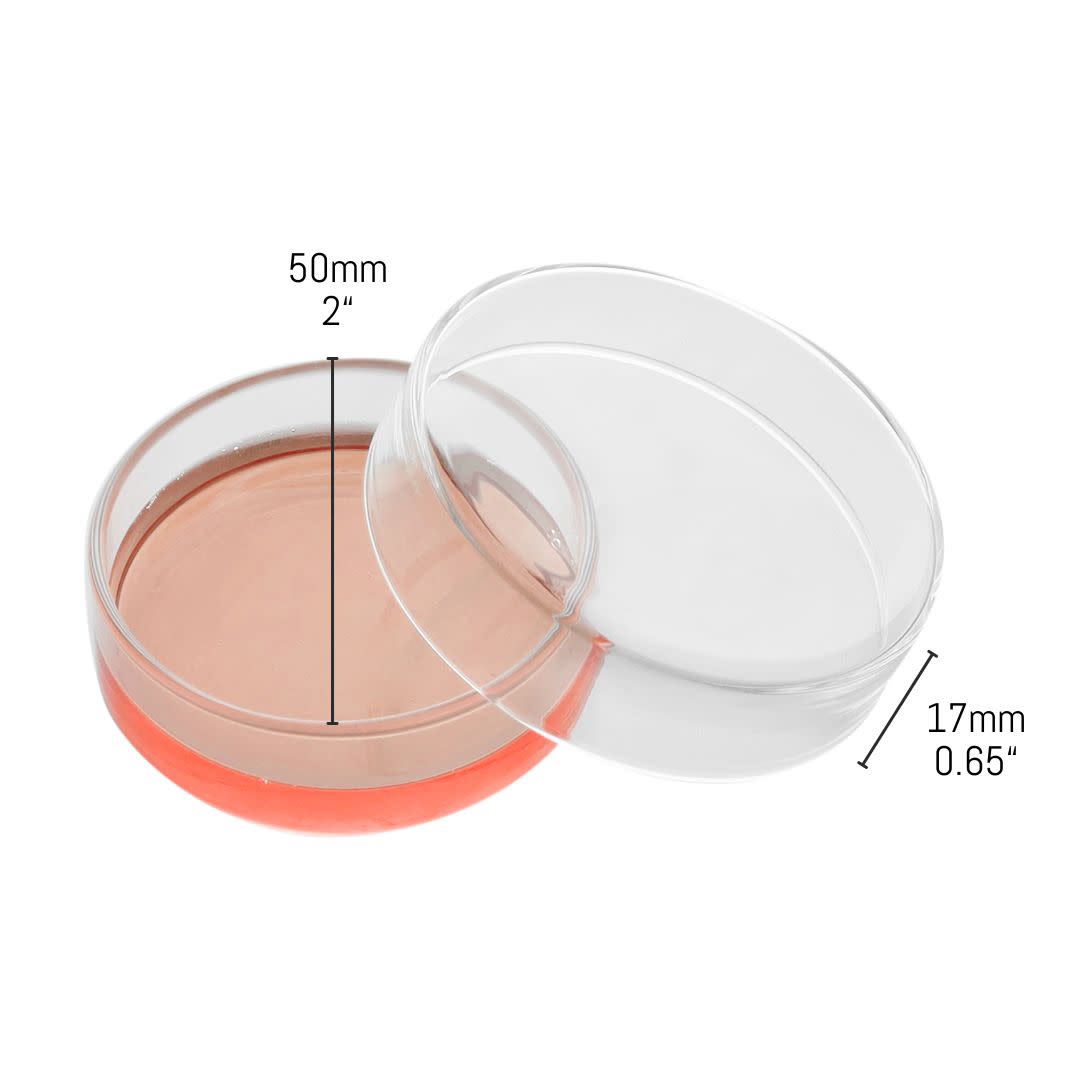 Borosilicate Glass Petri Dish, 50 x 17mm, Autoclavable