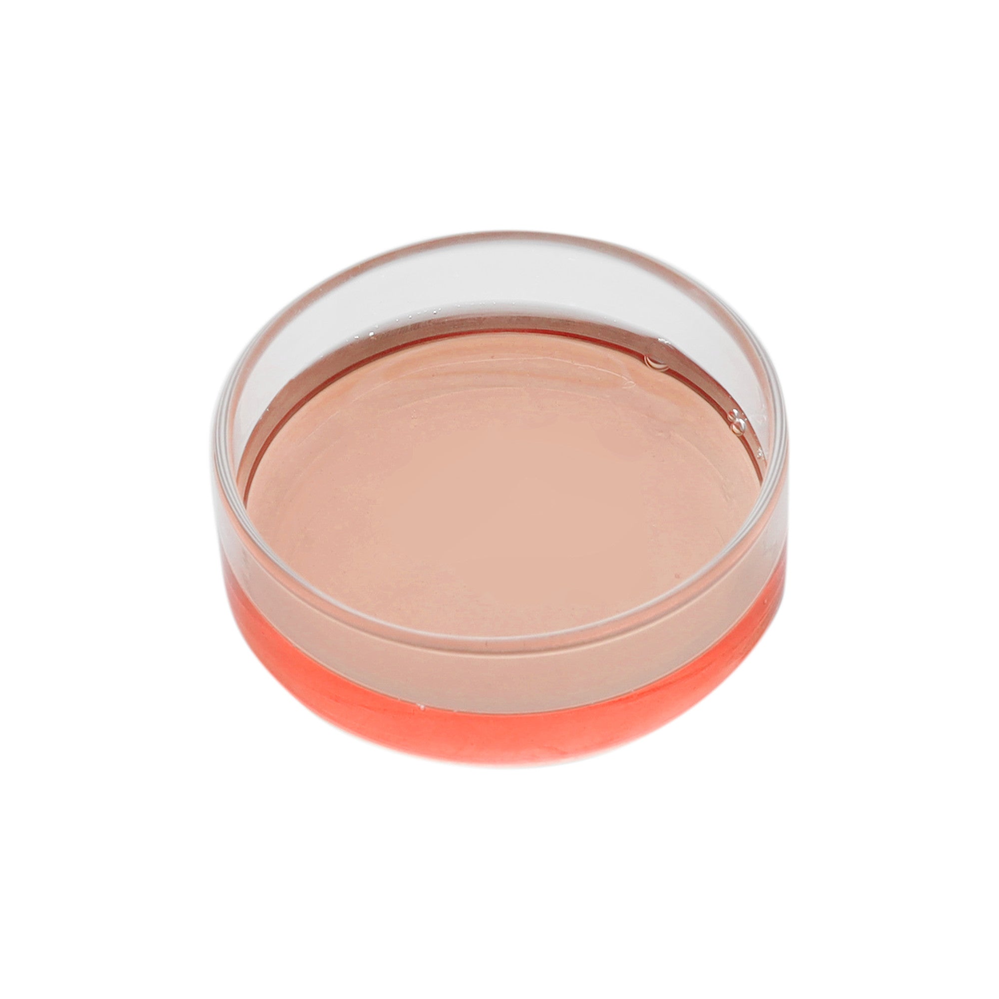 Borosilicate Glass Petri Dish, 50 x 17mm, Autoclavable