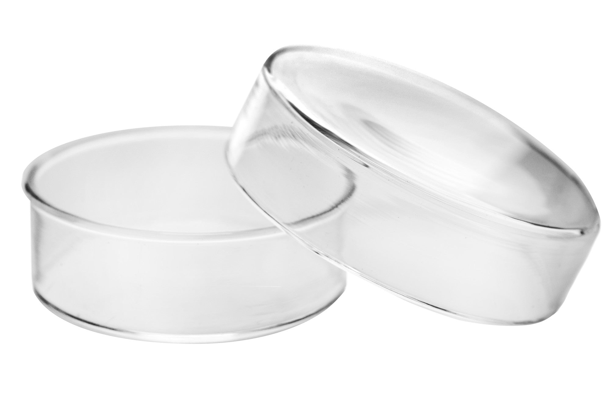 Borosilicate Glass Petri Dish, 50 x 17mm, Autoclavable